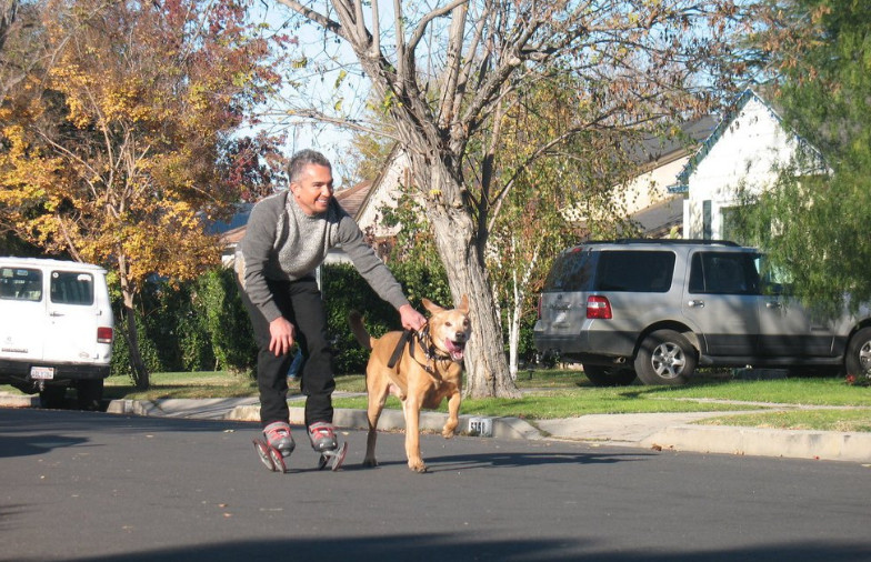 Cesar Millan Rollerblades Review as the Best Rollerblades for Dog Owners