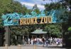 The Zoologico Del Bronx Ticket Options and Packages