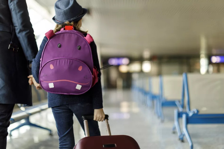Affidavit of Parental Consent for Travel of a Minor Child