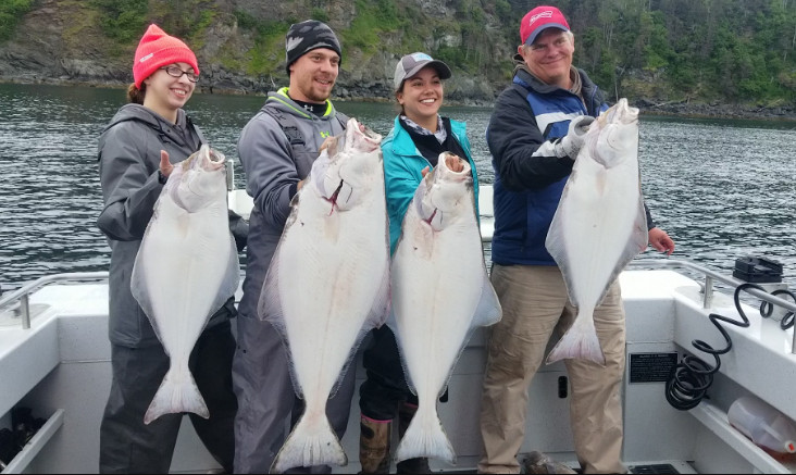 Halibut Charters in Homer Alaska and What You Should Know about the Fishing Trip
