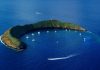 Maui Crater Snorkel Tips and Needed Information for the First-Time Tourists