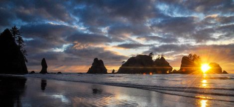 Olympic National Park Best Hikes Spots for Everyone