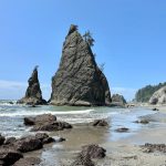 The Mystical Wonders of Rialto Beach Rocks And How It Will Blow Your Mind